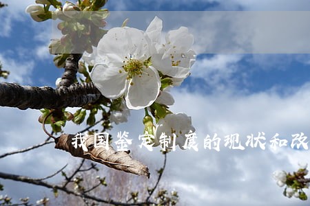 我国鉴定制度的现状和改进 我国鉴定制度的现状和改进