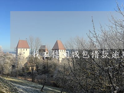 我在信用钱包借款逾期未还 我在信用钱包借款逾期未还
