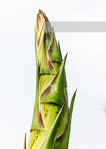 我在定州法院判的强制离婚 我在定州法院判的强制离婚