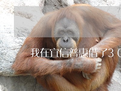 我在宜信普惠借了30000逾期 我在宜信普惠借了30000逾期