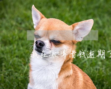 我在微博借钱逾期了29天 我在微博借钱逾期了29天