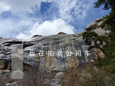 我在拍卖公司车 我在拍卖公司车