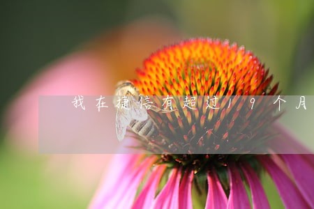 我在捷信有超过19个月逾期