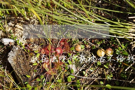 我在法院仲裁被告不给钱怎么办 我在法院仲裁被告不给钱怎么办