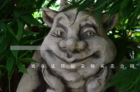 我在法院拍卖的买卖合同房
