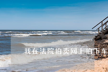 我在法院拍卖网上拍下车牌 我在法院拍卖网上拍下车牌