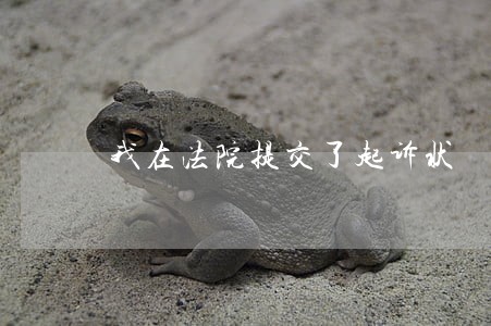 我在法院提交了起诉状 我在法院提交了起诉状