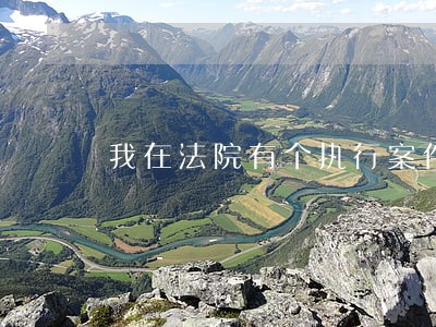 我在法院有个执行案件 我在法院有个执行案件