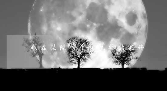 我在法院有个被执行的案件 我在法院有个被执行的案件