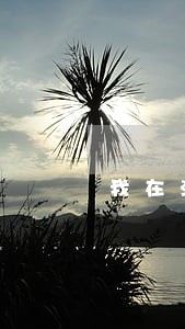 我在法院有欠债案底 我在法院有欠债案底