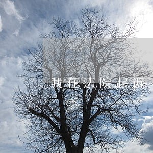 我在法院起诉了离婚 我在法院起诉了离婚