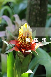 我在淘宝参加法院的司法拍卖 我在淘宝参加法院的司法拍卖