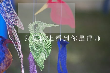 我在网上看到你是律师 我在网上看到你是律师