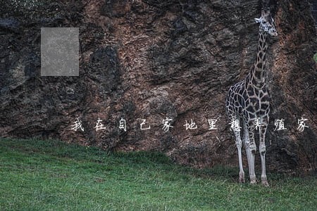 我在自己家地里想养殖家禽违法吗 我在自己家地里想养殖家禽违法吗