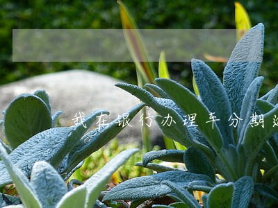 我在银行办理车分期逾期