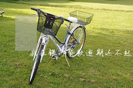 我在银行贷款逾期还不起了 我在银行贷款逾期还不起了