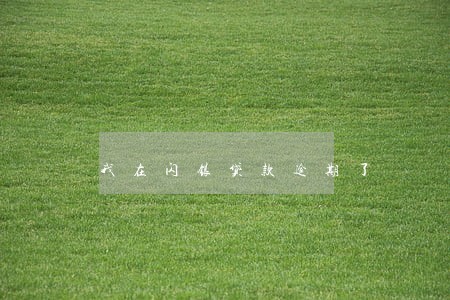 我在闪银贷款逾期了 我在闪银贷款逾期了