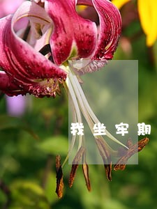 我坐牢期间信用卡逾期了 我坐牢期间信用卡逾期了