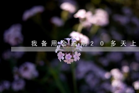 我备用金逾期20多天上征信吗 我备用金逾期20多天上征信吗