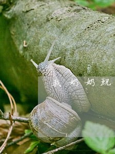 我奶奶现在信一个违法的教会组织 我奶奶现在信一个违法的教会组织