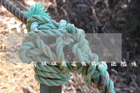 我姐姐最近也收到法院传票了