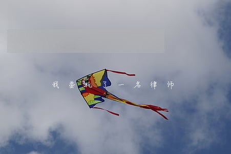 我委托了一名律师 我委托了一名律师