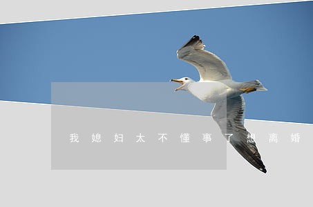 我媳妇太不懂事了想离婚 我媳妇太不懂事了想离婚