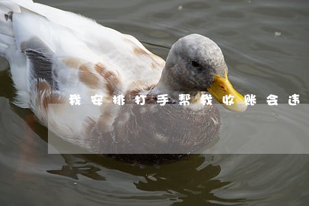 我安排打手帮我收账会违法吗