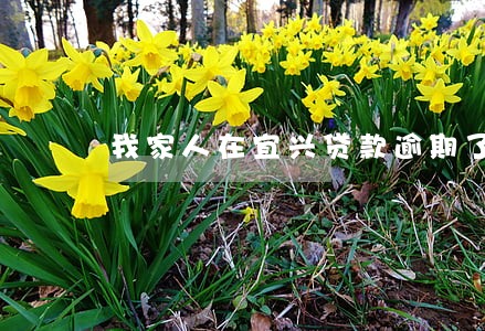 我家人在宜兴贷款逾期了 我家人在宜兴贷款逾期了
