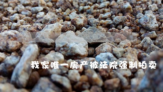 我家唯一房产被法院强制拍卖 我家唯一房产被法院强制拍卖