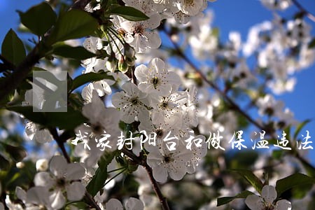 我家封阳台和做保温违法违建吗 我家封阳台和做保温违法违建吗