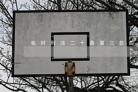 我对刑法二十条第三款的理解 我对刑法二十条第三款的理解