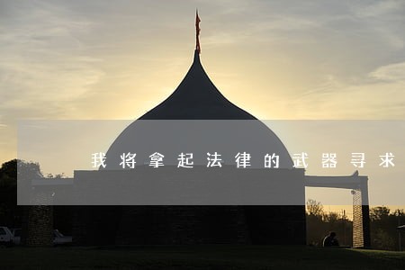 我将拿起法律的武器寻求司法保护 我将拿起法律的武器寻求司法保护