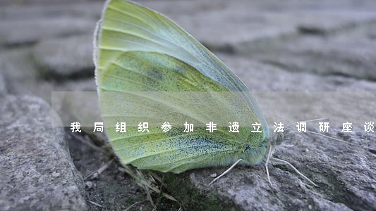 我局组织参加非遗立法调研座谈会 我局组织参加非遗立法调研座谈会