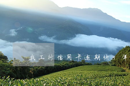 我工行信用卡逾期快3年了怎么办 我工行信用卡逾期快3年了怎么办