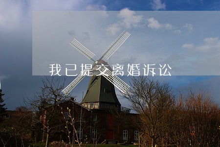 我已提交离婚诉讼 我已提交离婚诉讼