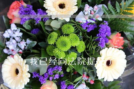 我已经向法院提交了 我已经向法院提交了