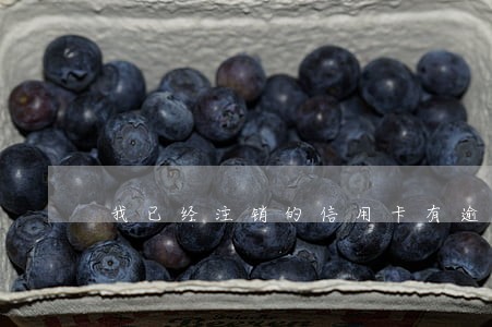 我已经注销的信用卡有逾期 我已经注销的信用卡有逾期