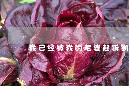 我已经被我的老婆起诉到法院了 我已经被我的老婆起诉到法院了
