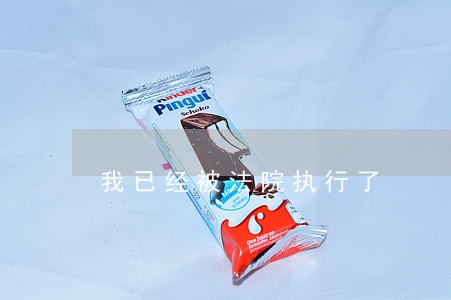 我已经被法院执行了 我已经被法院执行了