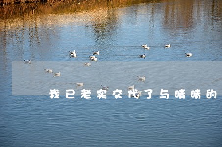我已老实交代了与晴晴的违法行为 我已老实交代了与晴晴的违法行为