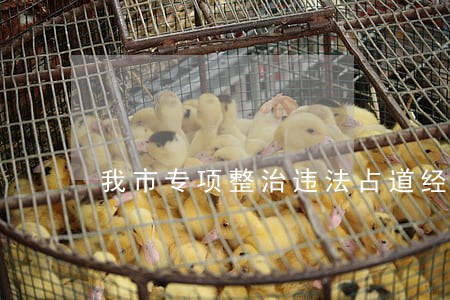 我市专项整治违法占道经营 我市专项整治违法占道经营