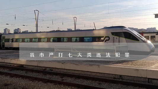 我市严打七大类违法犯罪