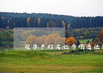 我市严打文化市场违法违规行为