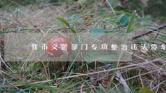 我市交警部门专项整治违法停车 我市交警部门专项整治违法停车