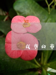 我市公布一批环境违法大案要案