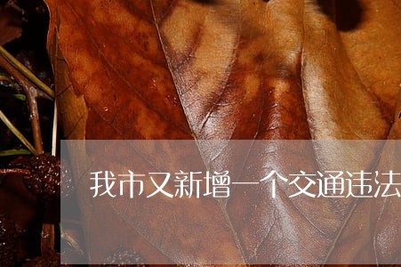 我市又新增一个交通违法处理点 我市又新增一个交通违法处理点