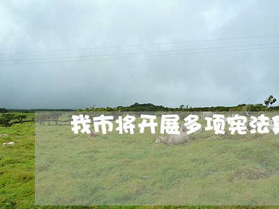 我市将开展多项宪法集中宣传活动 我市将开展多项宪法集中宣传活动