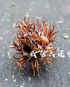 我帮人还信用卡违法吗 我帮人还信用卡违法吗