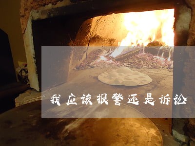 我应该报警还是诉讼 我应该报警还是诉讼